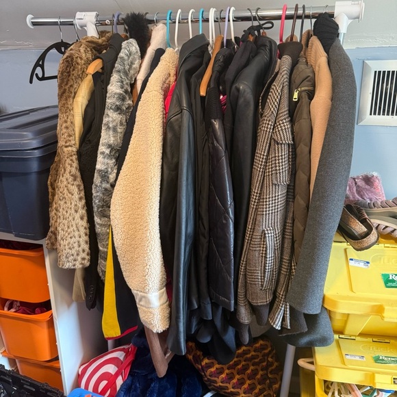 ALERT ALL RESELLERS. Loach pick up only - Picture 4 of 14